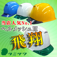 Japanese Fashion Safety Helmet | Safety Guardian