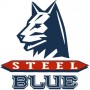 steel blue logo